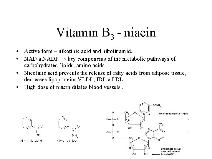 Vitamin B 3 - niacin • Active form – nikotinic acid and nikotinamid. •