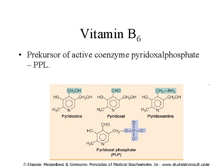 Vitamin B 6 • Prekursor of active coenzyme pyridoxalphosphate – PPL. 