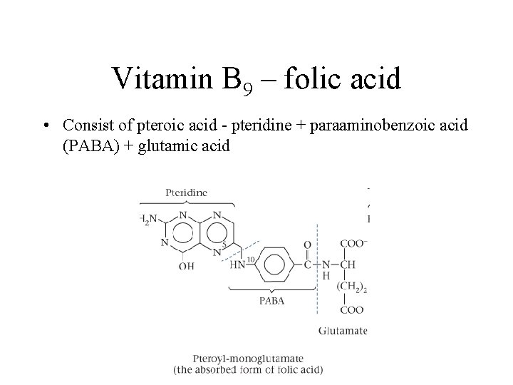 Vitamin B 9 – folic acid • Consist of pteroic acid - pteridine +