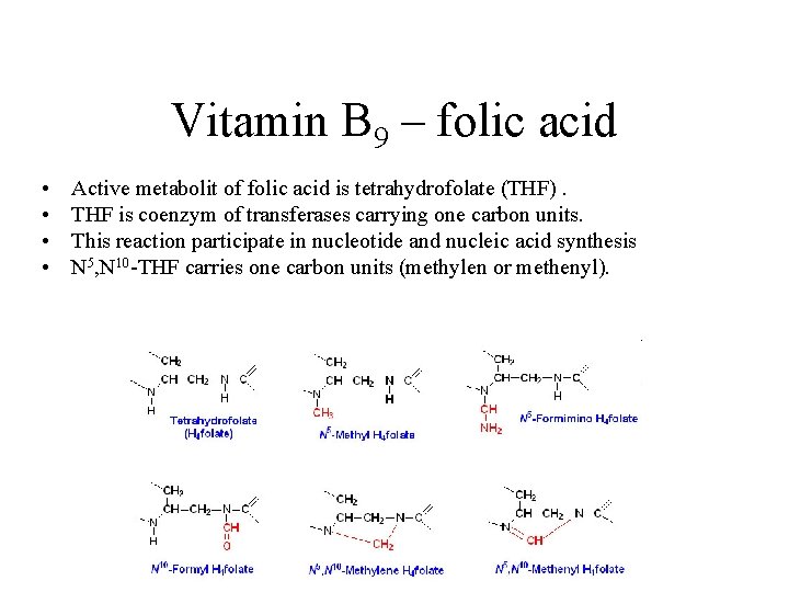 Vitamin B 9 – folic acid • • Active metabolit of folic acid is