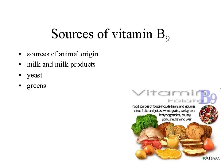 Sources of vitamin B 9 • • sources of animal origin milk and milk