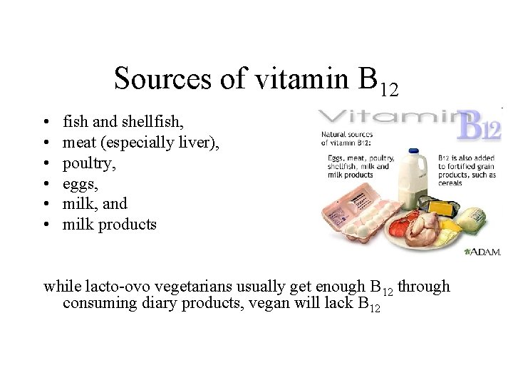 Sources of vitamin B 12 • • • fish and shellfish, meat (especially liver),