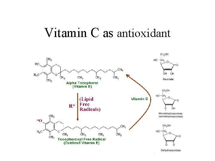 Vitamin C as antioxidant 