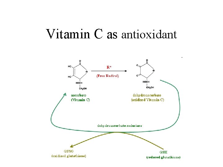 Vitamin C as antioxidant 