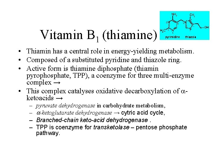 Vitamin B 1 (thiamine) • Thiamin has a central role in energy-yielding metabolism. •