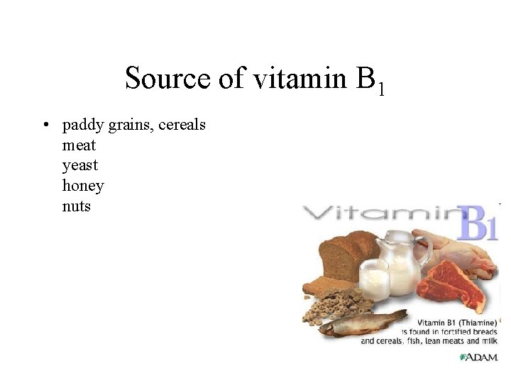 Source of vitamin B 1 • paddy grains, cereals meat yeast honey nuts 