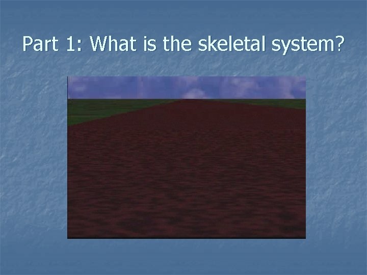 Part 1: What is the skeletal system? 