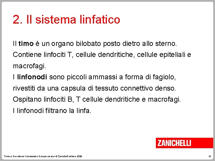 2. Il sistema linfatico Il timo è un organo bilobato posto dietro allo sterno.