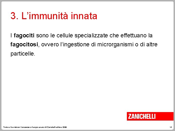 3. L’immunità innata I fagociti sono le cellule specializzate che effettuano la fagocitosi, ovvero