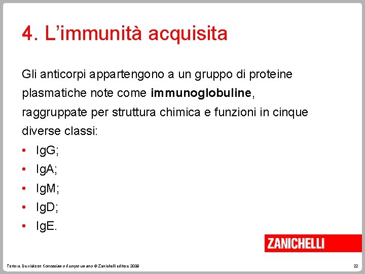 4. L’immunità acquisita Gli anticorpi appartengono a un gruppo di proteine plasmatiche note come