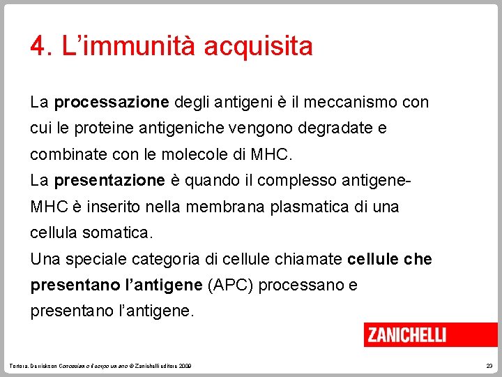 4. L’immunità acquisita La processazione degli antigeni è il meccanismo con cui le proteine