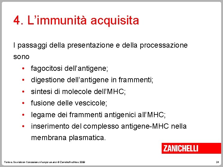 4. L’immunità acquisita I passaggi della presentazione e della processazione sono • fagocitosi dell’antigene;