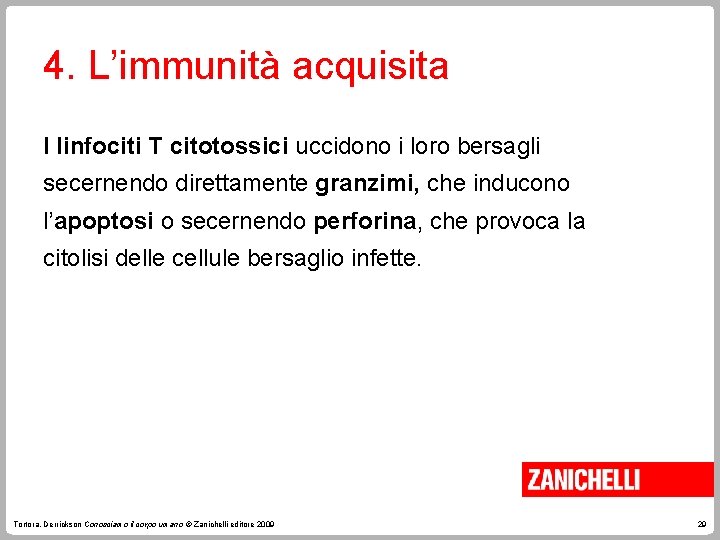 4. L’immunità acquisita I linfociti T citotossici uccidono i loro bersagli secernendo direttamente granzimi,