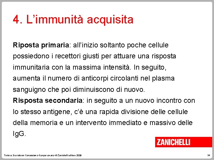 4. L’immunità acquisita Riposta primaria: all’inizio soltanto poche cellule possiedono i recettori giusti per