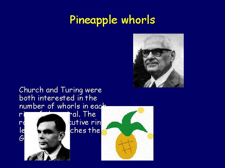 Pineapple whorls Church and Turing were both interested in the number of whorls in Pineapple whorls Church and Turing were both interested in the number of whorls in