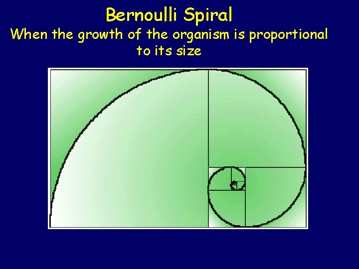 Bernoulli Spiral When the growth of the organism is proportional to its size Bernoulli Spiral When the growth of the organism is proportional to its size