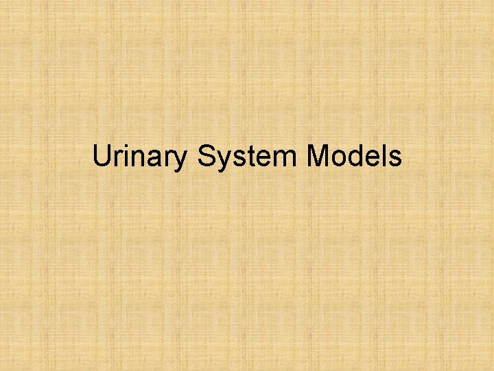 Urinary System Models Urinary System Models