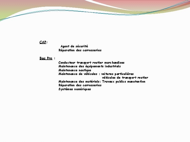 CAP: Bac Pro : Agent de sécurité Réparation des carrosseries Conducteur transport routier marchandises