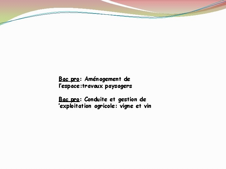 Bac pro: pro Aménagement de l’espace: travaux paysagers Bac pro: pro Conduite et gestion