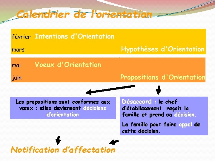 Calendrier de l’orientation Les propositions sont conformes aux vœux : elles deviennent décisions d’orientation