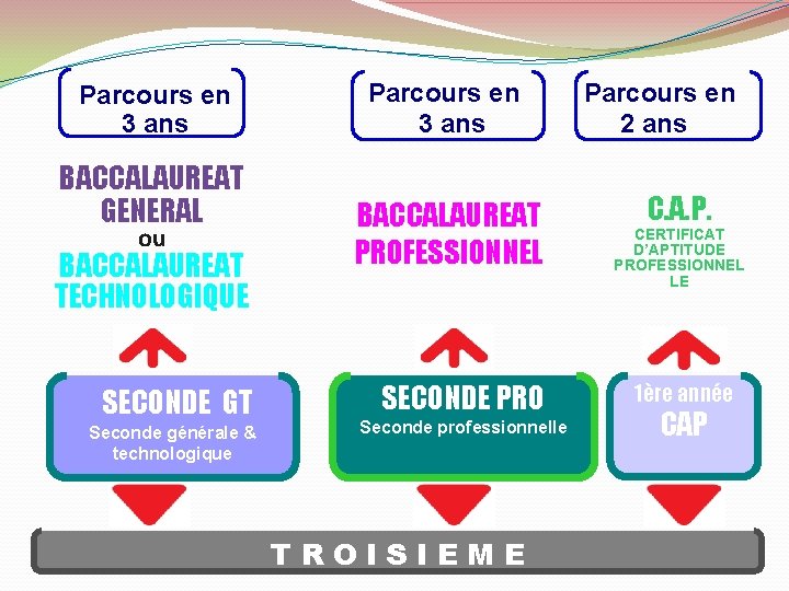 Parcours en 3 ans BACCALAUREAT GENERAL ou BACCALAUREAT TECHNOLOGIQUE SECONDE GT Seconde générale &