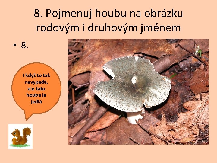 8. Pojmenuj houbu na obrázku rodovým i druhovým jménem • 8. I když to