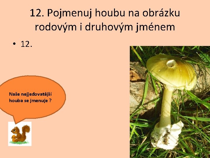 12. Pojmenuj houbu na obrázku rodovým i druhovým jménem • 12. Naše nejjedovatější houba