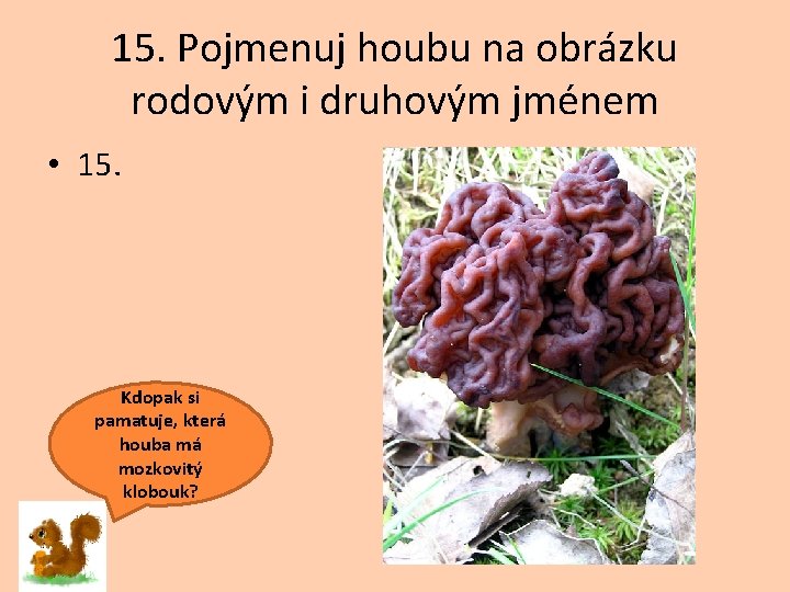 15. Pojmenuj houbu na obrázku rodovým i druhovým jménem • 15. Kdopak si pamatuje,