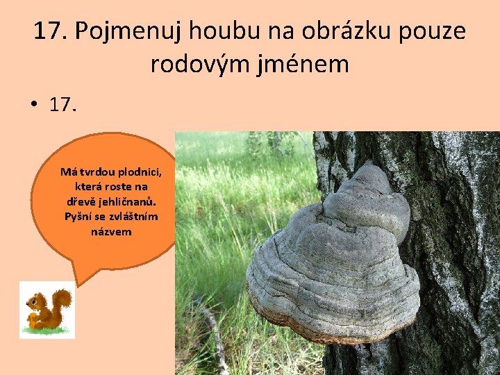 17. Pojmenuj houbu na obrázku pouze rodovým jménem • 17. Má tvrdou plodnici, která