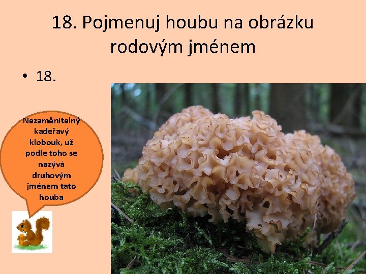 18. Pojmenuj houbu na obrázku rodovým jménem • 18. Nezaměnitelný kadeřavý klobouk, už podle