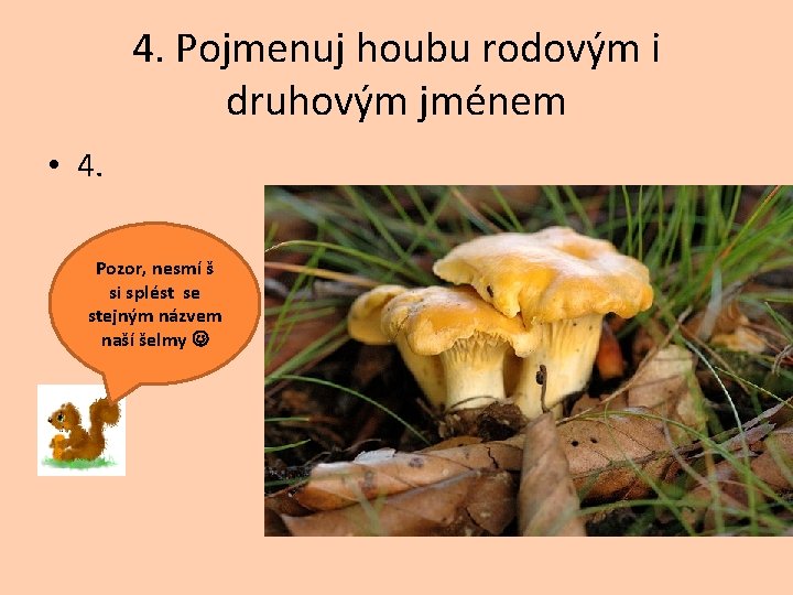 4. Pojmenuj houbu rodovým i druhovým jménem • 4. Pozor, nesmí š si splést