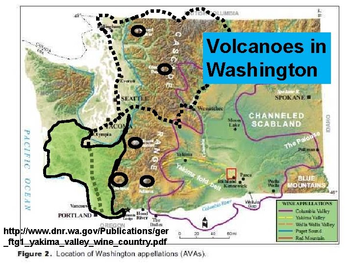 Volcanoes in Washington http: //www. dnr. wa. gov/Publications/ger _ftg 1_yakima_valley_wine_country. pdf 