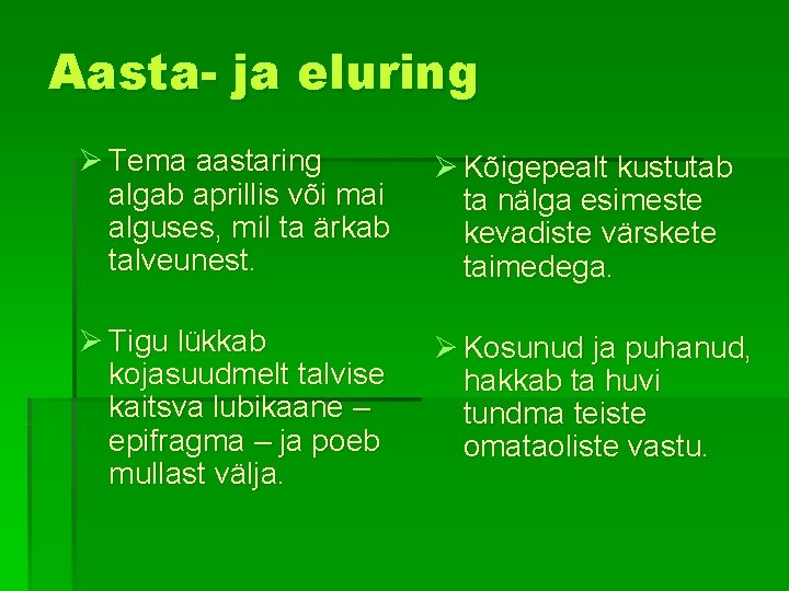 Aasta- ja eluring Ø Tema aastaring algab aprillis või mai alguses, mil ta ärkab