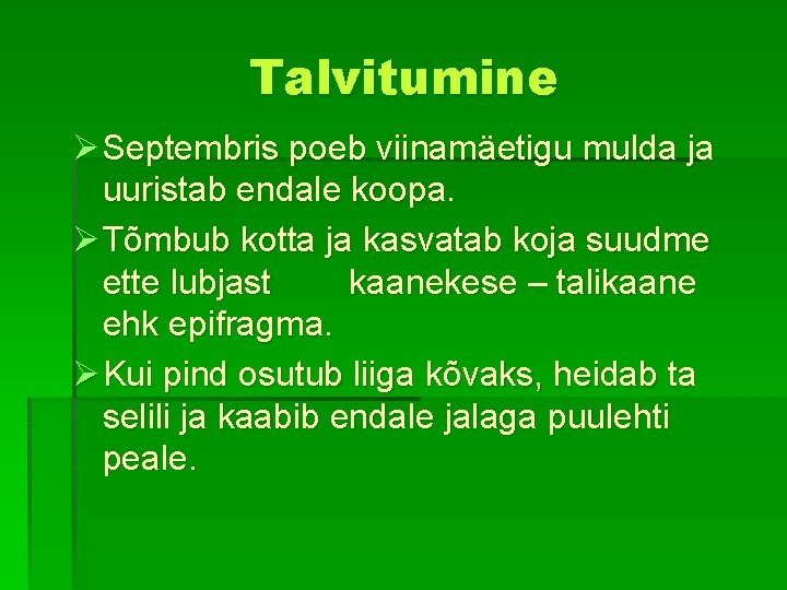 Talvitumine Ø Septembris poeb viinamäetigu mulda ja uuristab endale koopa. Ø Tõmbub kotta ja