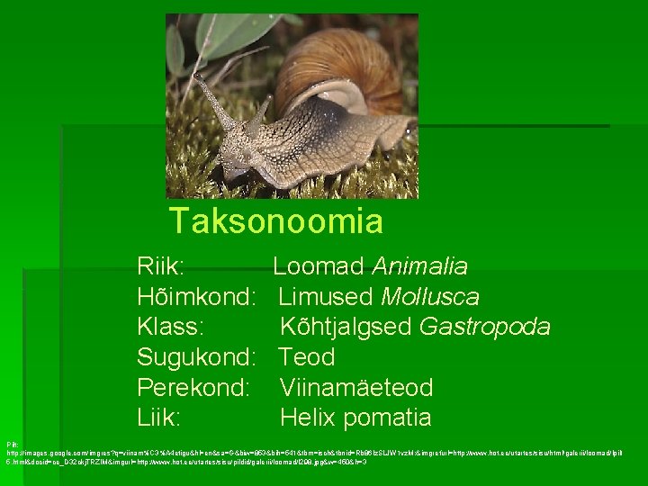 Taksonoomia Riik: Hõimkond: Klass: Sugukond: Perekond: Liik: Loomad Animalia Limused Mollusca Kõhtjalgsed Gastropoda Teod