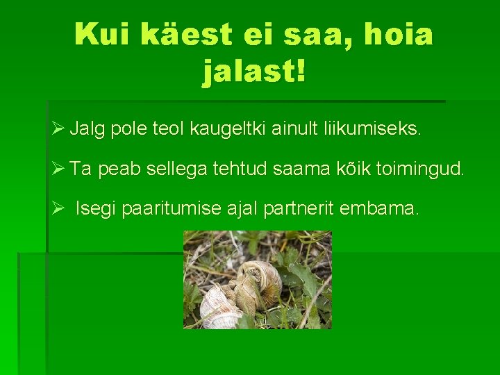 Kui käest ei saa, hoia jalast! Ø Jalg pole teol kaugeltki ainult liikumiseks. Ø