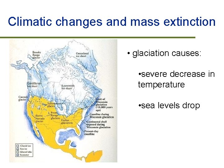 Climatic changes and mass extinction • glaciation causes: • severe decrease in temperature •