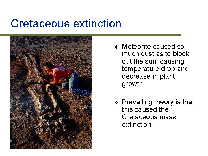 Cretaceous extinction v Meteorite caused so much dust as to block out the sun,