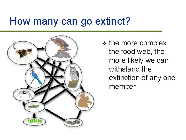 How many can go extinct? v the more complex the food web, the more