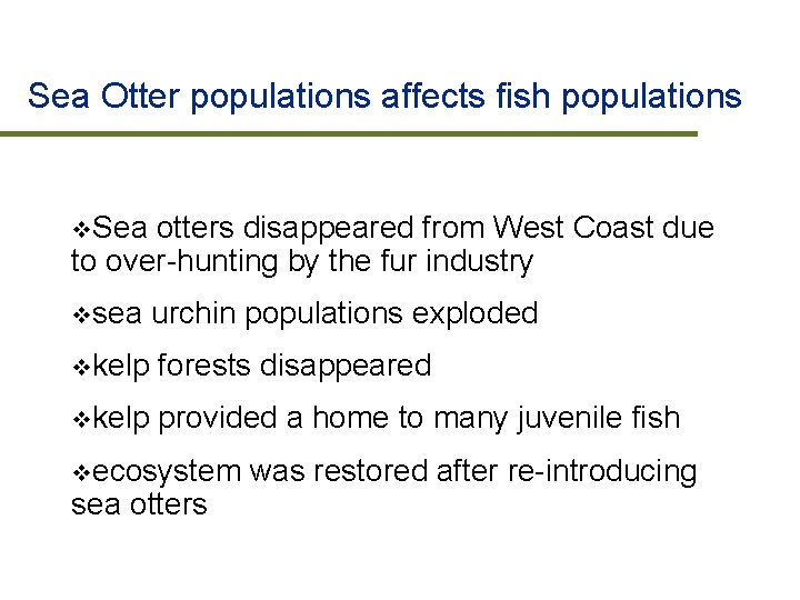 Sea Otter populations affects fish populations v. Sea otters disappeared from West Coast due