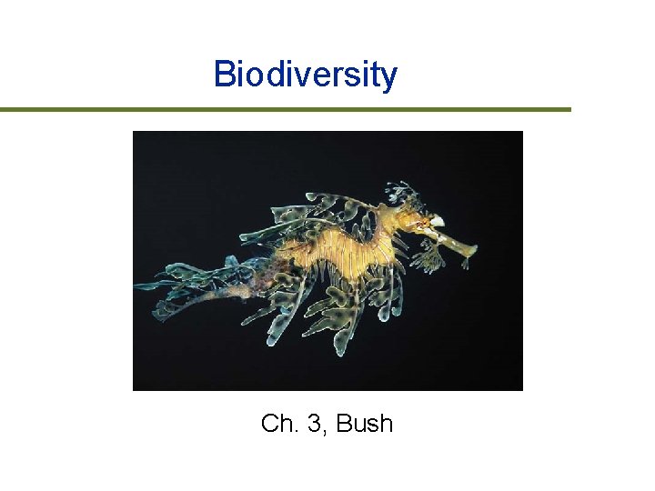Biodiversity Ch. 3, Bush 