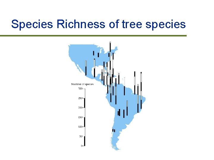 Species Richness of tree species 