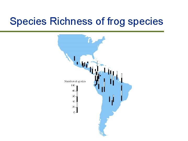 Species Richness of frog species 