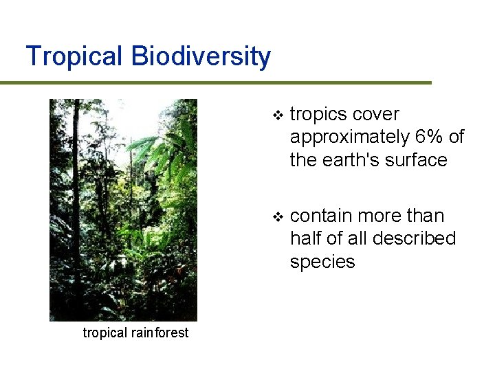 Tropical Biodiversity tropical rainforest v tropics cover approximately 6% of the earth's surface v