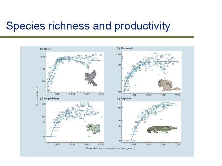 Species richness and productivity 