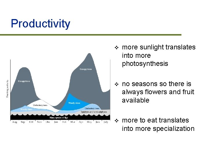 Productivity v more sunlight translates into more photosynthesis v no seasons so there is