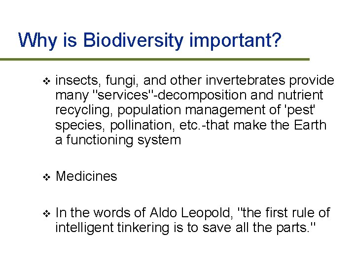 Why is Biodiversity important? v insects, fungi, and other invertebrates provide many "services"-decomposition and