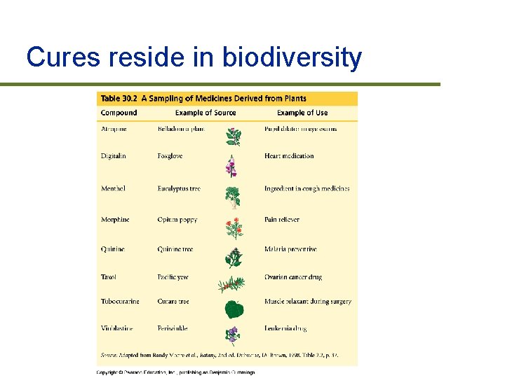 Cures reside in biodiversity 