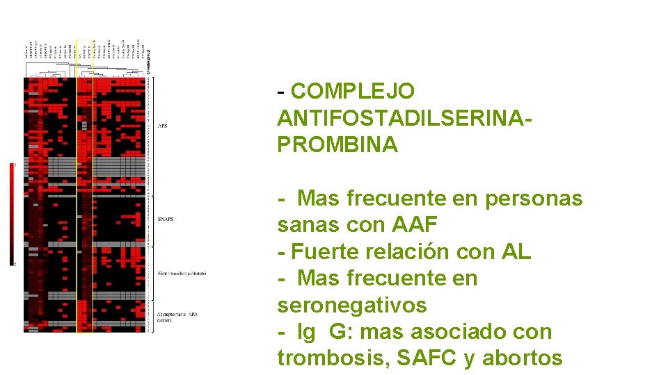 - COMPLEJO ANTIFOSTADILSERINAPROMBINA - Mas frecuente en personas sanas con AAF - Fuerte relación