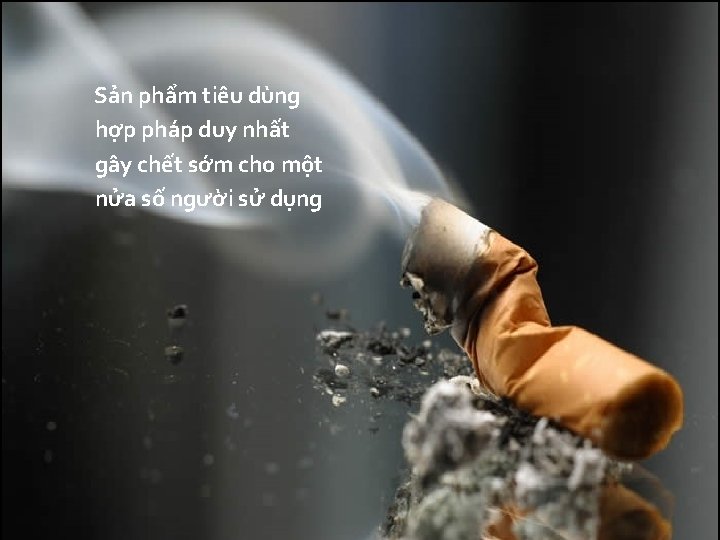 Sản phẩm tiêu dùng hợp pháp duy nhất gây chết sớm cho một nửa